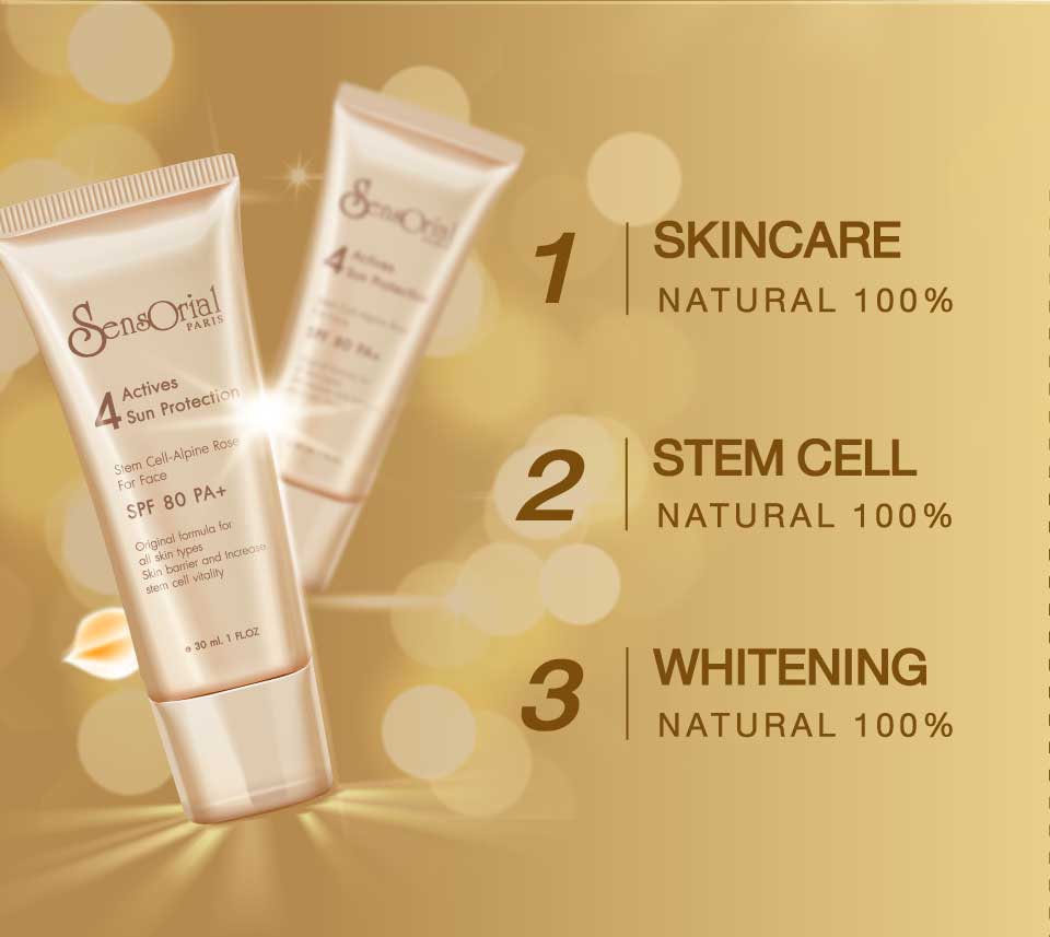 STEM CELL SUN PROTECTION CREAM SPF80 | Sens Orial